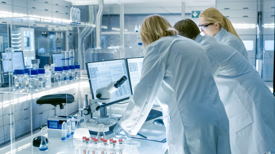 Back View of Team of Senior and Young Scientists Working on Problem